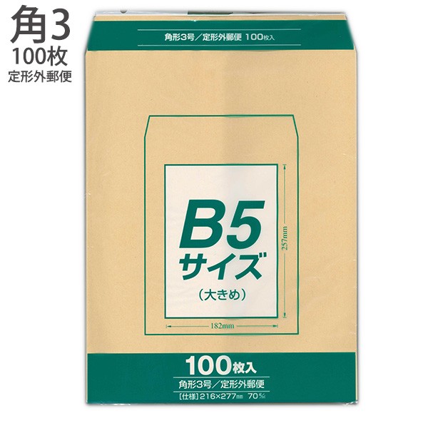 yさん専用 定形外厚紙白 100枚＋ 見よう