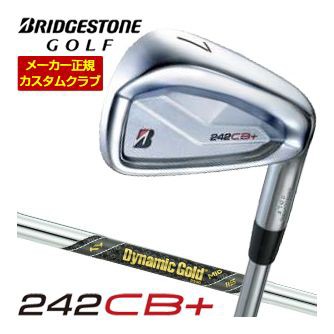 タイトリスト アイアン T300 5 N.S. PRO 880 AMC スチールシャフト S ： 通販・価格比較 [最安値.com]