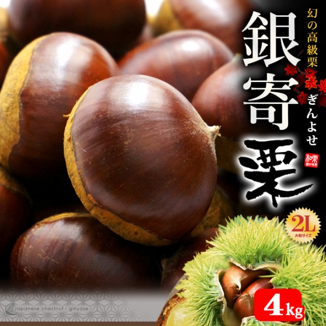 熊本県産　生栗　特大（３Ｌ以上）１ｋｇ