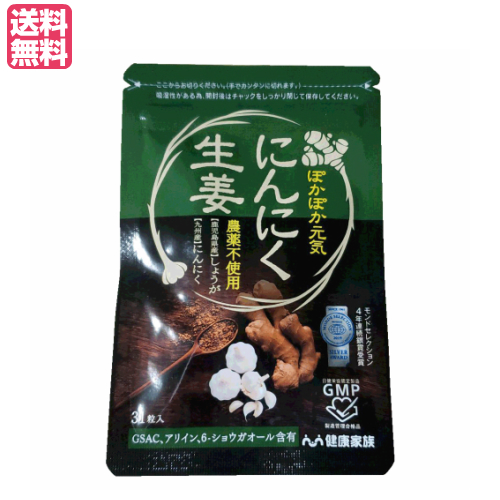 他サイト： 健康家族 にんにく生姜 31粒入 にんにく サプリ ショウガオールの商品画像