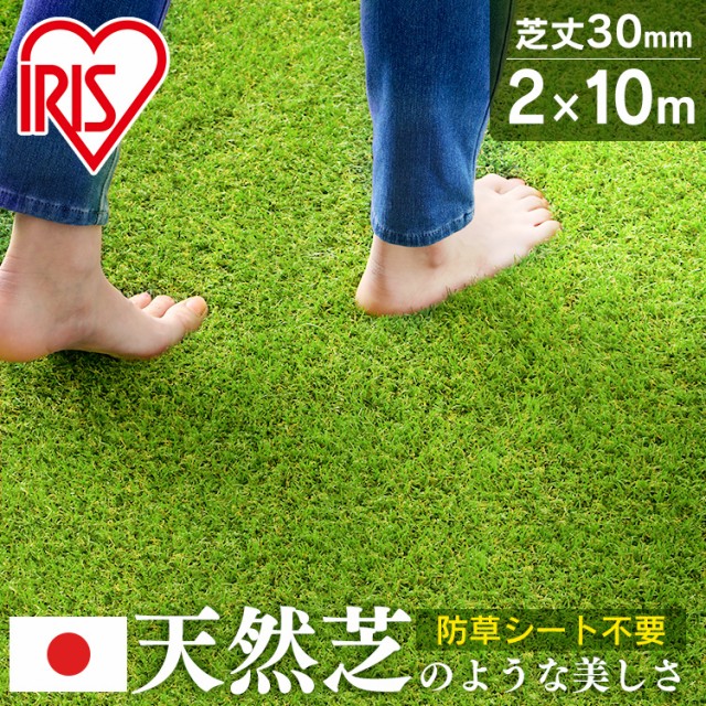 絶妙なデザイン 高級人工芝 ToYo Grass トヨグラス 起立芝 25mm 幅1m×10m巻__toyo-c-1025