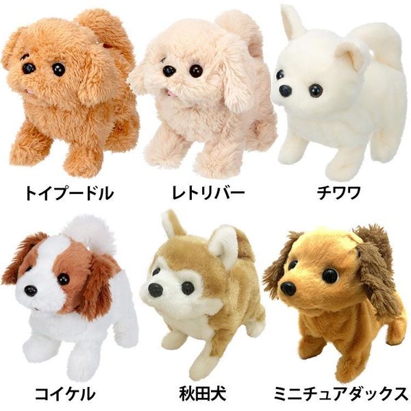 他サイト： 玩具 おもちゃ ぬいぐるみ ピッコリーネ ピッコリーネ トイプードル レトリバー チワワ コイケル コーイケルホンディエ 秋田犬の商品画像
