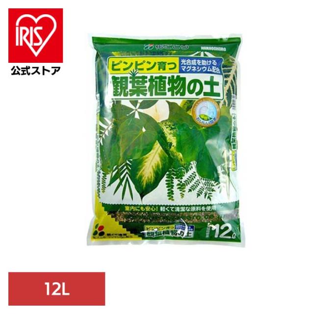 他サイト： 培養土 用土 光合成 マグネシウム 室内 清潔 軽い ガーデン 観葉植物 観葉植物の土 12L 花ごころ 培養土 用土 光合成 の商品画像