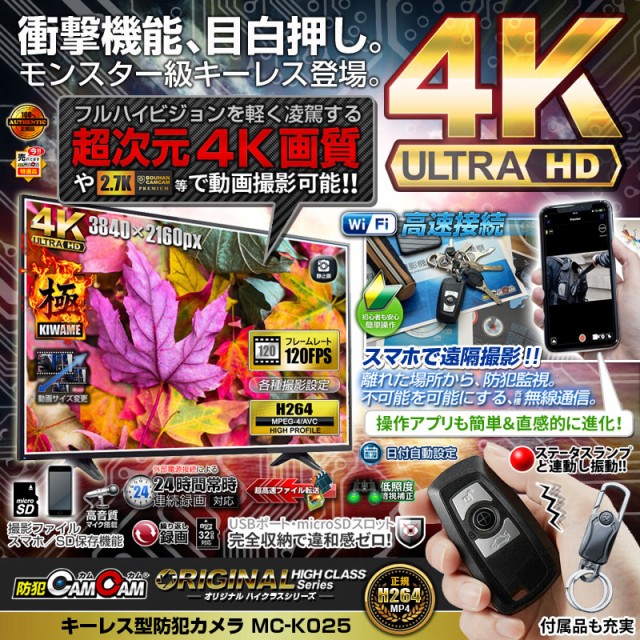 交換無料！ リーベックス 防雨型 SDカード録画式センサーカメラ SD1500