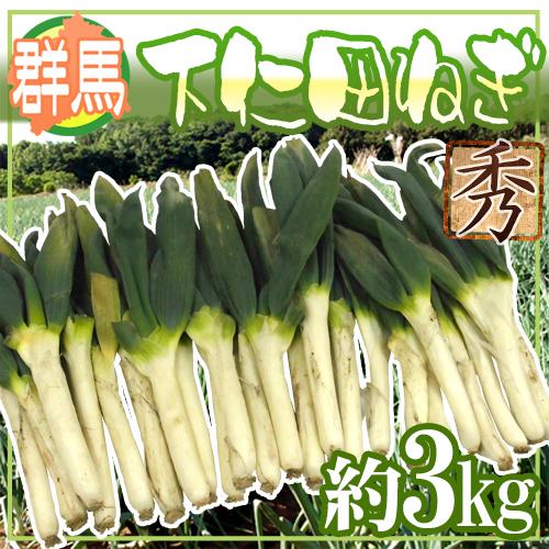 群馬県 ”上州ねぎ” 6束前後 約2.5kg【予約 か弱い 11月末以降】