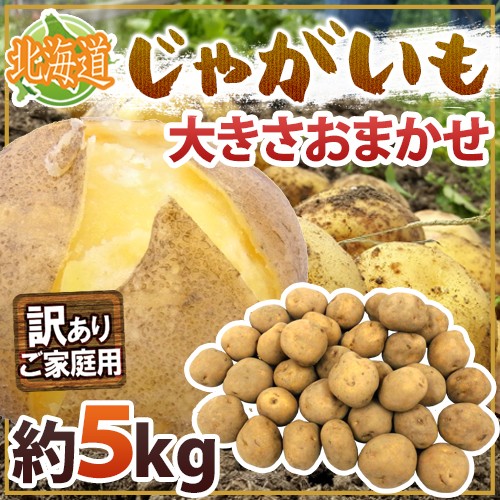 じゃがいも ジャガイモ インカのめざめ 恥ずかしく 10kg 正品・S/M/LM/L/2L混 （新じゃがいも）