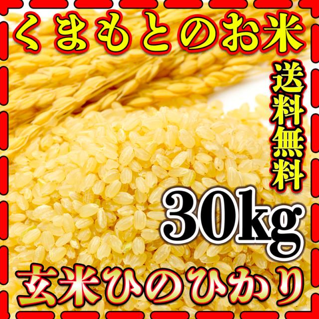 他サイト： お米 米 30kg 玄米 送料無料 最短 熊本県産 ひのひかり 令和7年産 ヒノヒカリ 5kg6個 くまもとのお米 富田商店 との商品画像
