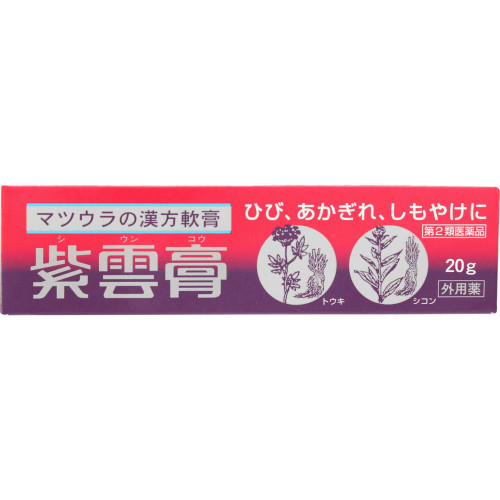 他サイト： 【第2類医薬品】紫雲膏 20g【メール便】(4987457161729)の商品画像