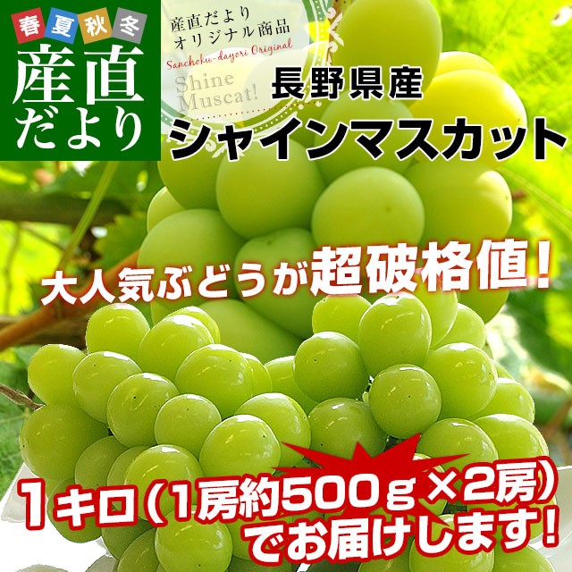 ぶどう ： 通販・価格比較 [最安値.com]