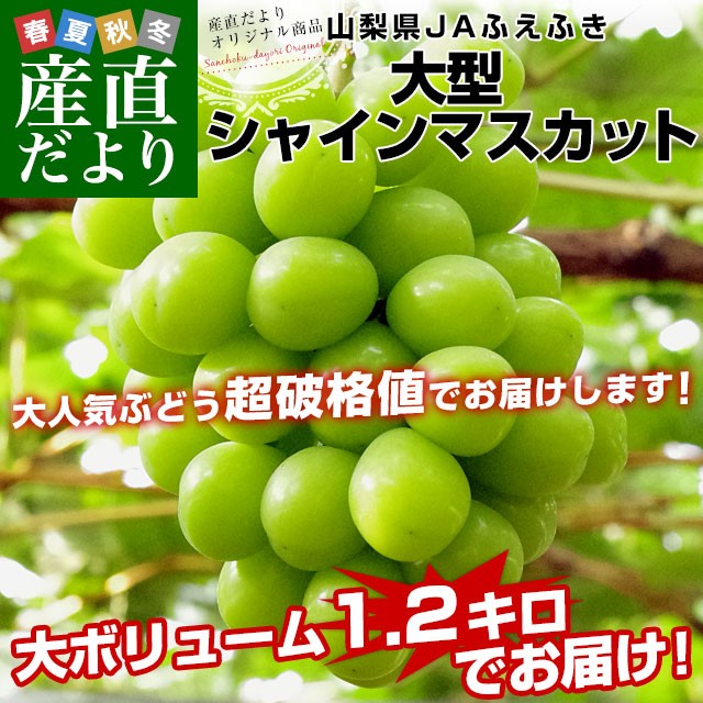 国内即発送 ぶどう 岡山産 ”瀬戸ジャイアンツ” 秀品 超大房 約800g以上 予約 9月以降