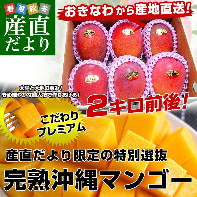 新しいコレクション 福岡加工 辛子明太子 ゴールデンサイズ 極太1本もの 約260g 6本から7本 ×3箱 送料無料 めんたいこ 