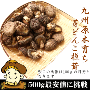 国産原木芽どんこしいたけ 椎茸 500g 干し椎茸 干ししいたけ きのこ 椎茸茶 乾燥しいたけ 乾燥椎茸 無添加 国産 九州産 キノコ だし の通販はau Pay マーケット タマチャンショップ