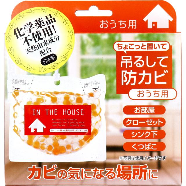 他サイト： ちょこっと置いて吊るして防カビ おうち用 160gの商品画像