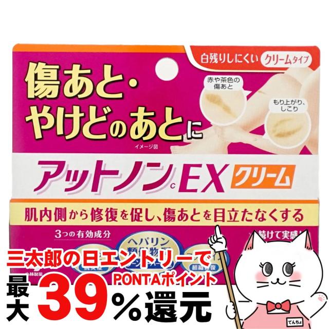 他サイト： 【三太郎の日 ポイント最大39%還元】【第2類医薬品】アットノンEXクリーム 15g[皮膚の薬][小林製薬株式会社][メール便発の商品画像