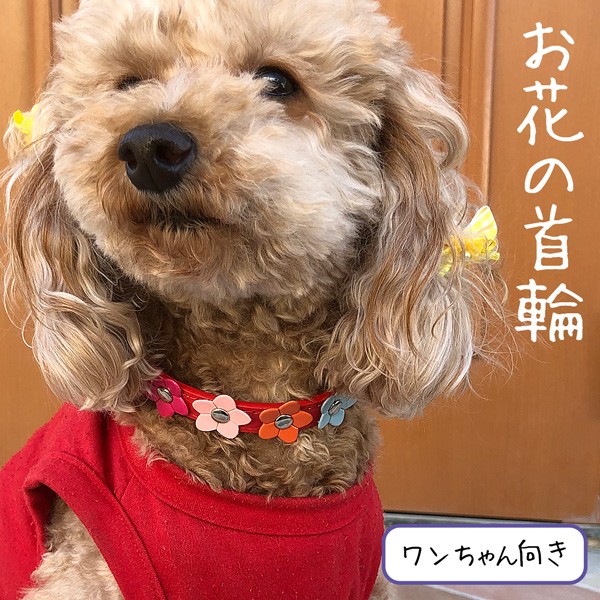 新登場 猫 首輪 室内犬 小型犬 首輪 かわいい お花 春夏 小花 布 首輪の通販はau Pay マーケット スマホケースカバーの店nk115 商品ロットナンバー