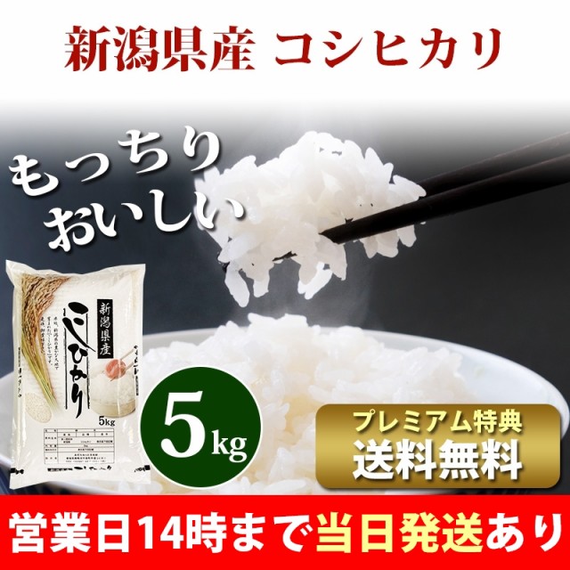 令和2年産 新米コシヒカリ 30キロ 【福井県産】低農薬の+inforsante.fr