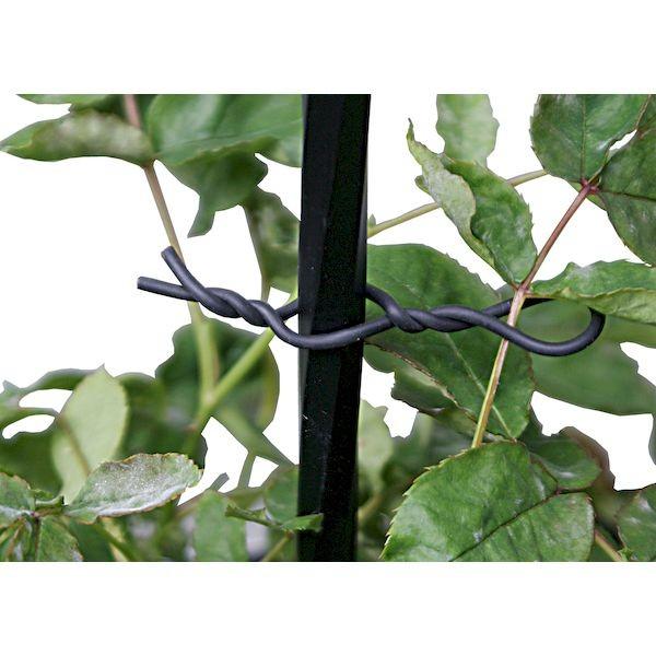 他サイト： 第一ビニール 4968438016788 バラ用やわらかバンド黒 径2.5*10mの商品画像