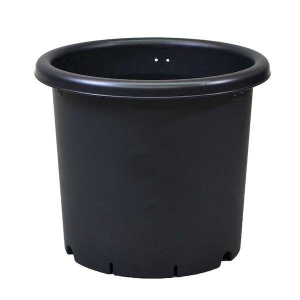 他サイト： アップルウェアー 4905980972087 菊鉢7号BKの商品画像