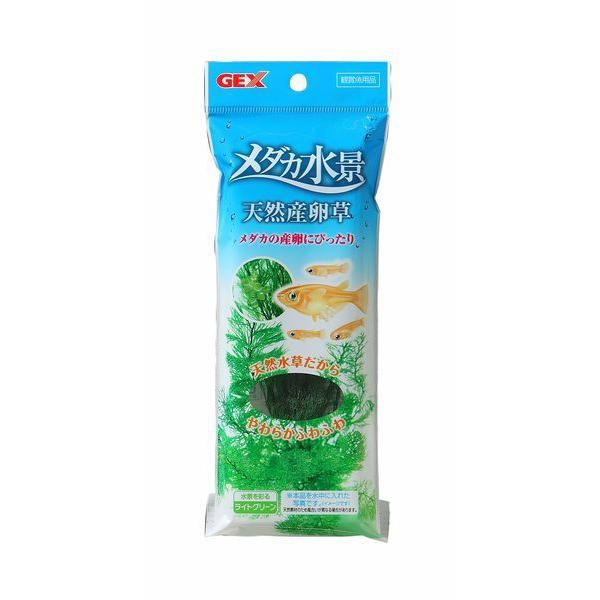 他サイト： GEX(ジェックス) 4972547026262 メダカ水景 天然産卵草の商品画像