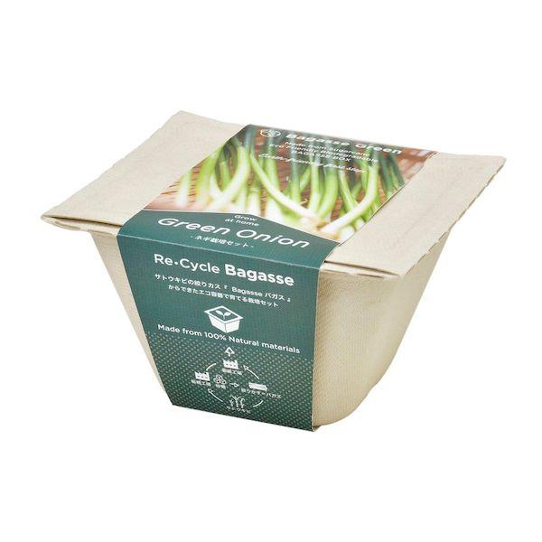 他サイト： 聖新陶芸 4528757039785 GD−95305 バガスグリーン ネギの商品画像