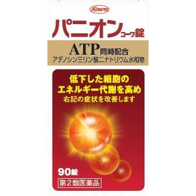 他サイト： 【第2類医薬品】パニオンコーワ錠 90錠の商品画像