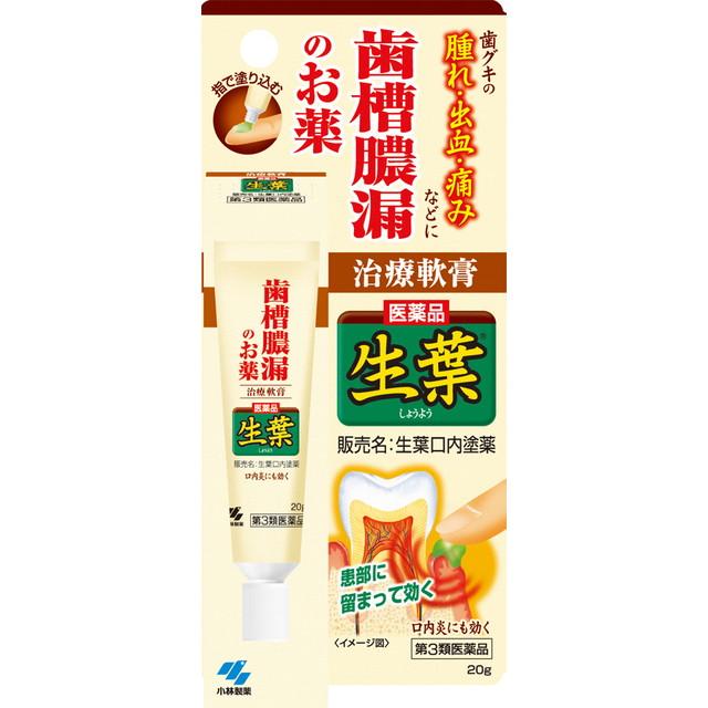 他サイト： 【第3類医薬品】小林製薬 小林製薬 生葉口内ぬり薬 20Gの商品画像