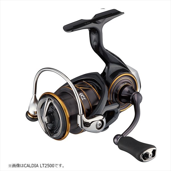 21 カルディア LT3000 ダイワ 21 DAIWA 21 CALDIA ： Amazon・楽天・ヤフー等の通販価格比較 [最安値.com]