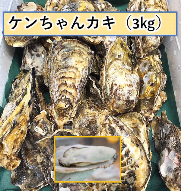 yzyPJLzktyi3kg...