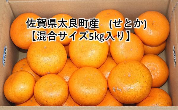 yzꌧǒYuƂvTCY...