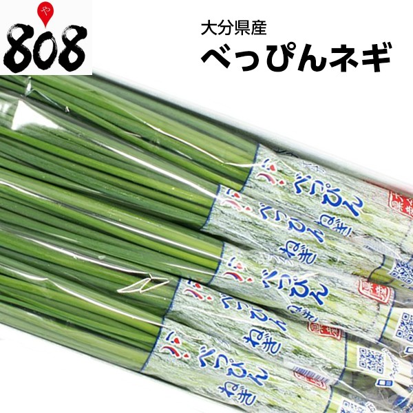 サカタのタネ 実咲野菜3870 石倉一本太ねぎ ネギ 00923870 ： Amazon・楽天・ヤフー等の通販価格比較 [最安値.com]