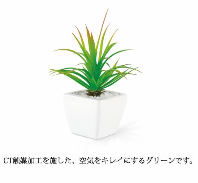 送料無料 空気を消臭 キレイにする グリーン 人工観葉植物 浄化 Ct触媒 鉢リビング 玄関先 フェイク 置物 植物 造花 贈り物 の通販はau Pay マーケット Canderry House