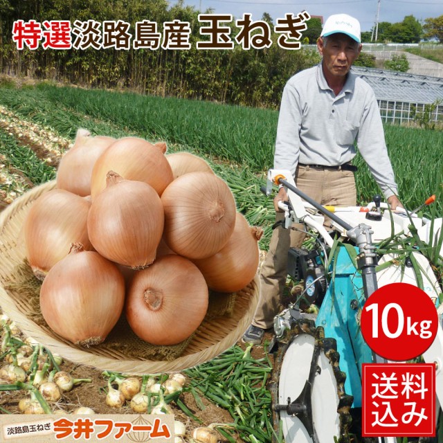 平林産業 たまねぎ氷 350g ： 通販・価格比較