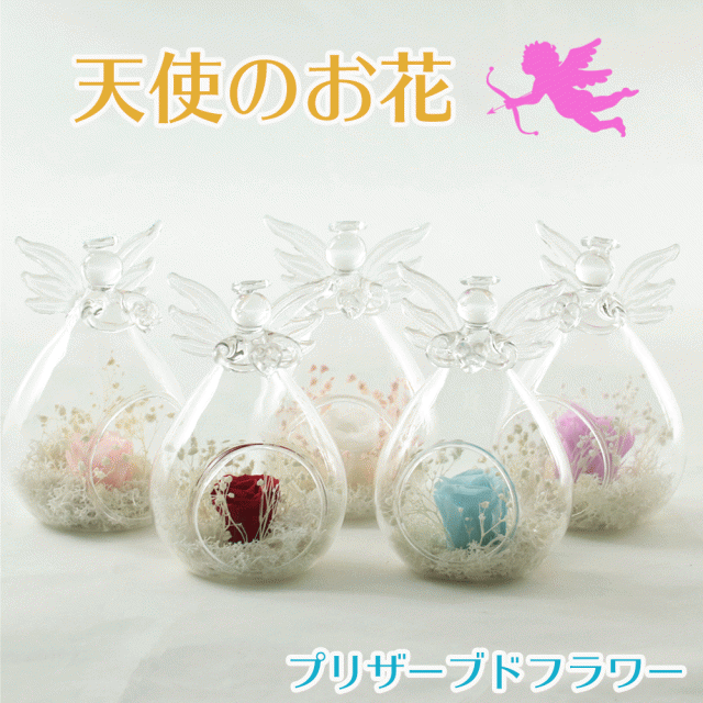 プリザーブドフラワー 天使 ガラスドーム 仏花 エンジェル お祝い ギフト プレゼント 誕生日 結婚式 記念日 バレンタインデー ホワイトデの通販はau Pay マーケット Cool Beans プリザーブドフラワー 天使 ガラスドーム 仏花 エンジェル お祝い ギフト プレゼント 誕生日 結婚式 記念日 バレンタインデー ホワイトデの通販はau Pay マーケット Cool Beans