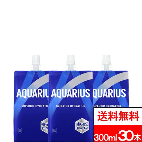 他サイト： 全国配送対応 送料無料 1ケース コカ・コーラ アクエリアス ハンディーパック 300g 30本 スポーツドリンク スポーツ飲料の商品画像