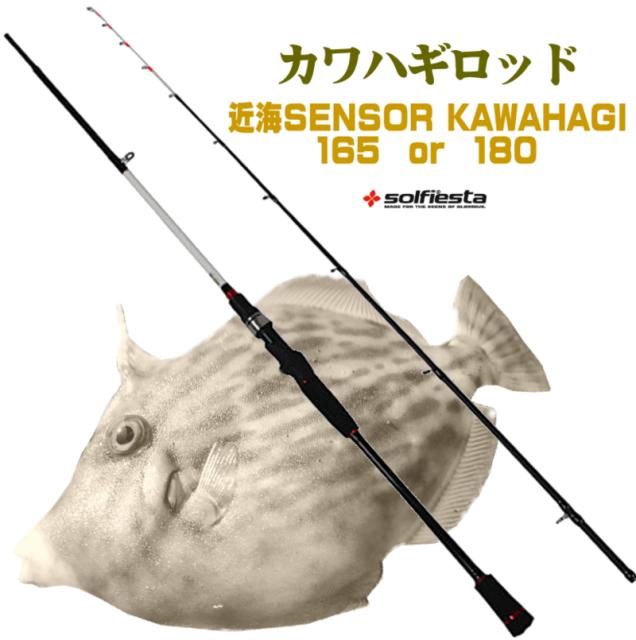 極技 175 H 船 カワハギ メタルトップ 宇崎日新 9:1 未使用 極技 175 H 船 カワハギ メタルトップ 宇崎日新 9:1 未使用 宇崎