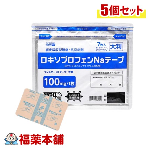 他サイト： 【第2類医薬品】テイコクファルマケア フィスター LXテープ 大判 7枚入×5個 [ゆうパケット・送料無料]の商品画像