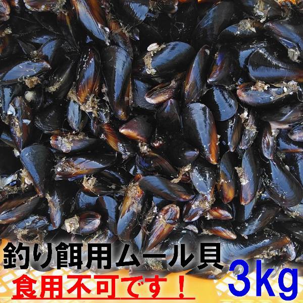 釣り餌 冷凍つけエサ 生イキくんツインパック レギュラー Lサイズ ： 通販・価格比較