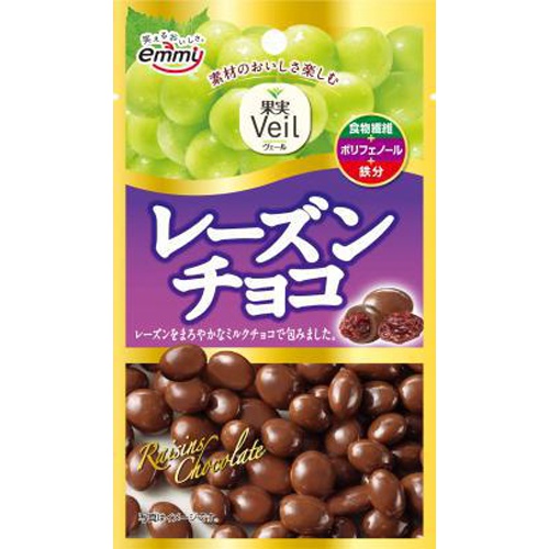 正栄食品工業 レーズンチョコ 41g