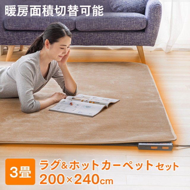 LIFEJOY 電気カーペット 木目調 ブラウン JPJ301WB ： Amazon・楽天・ヤフー等の通販価格比較 [最安値.com]