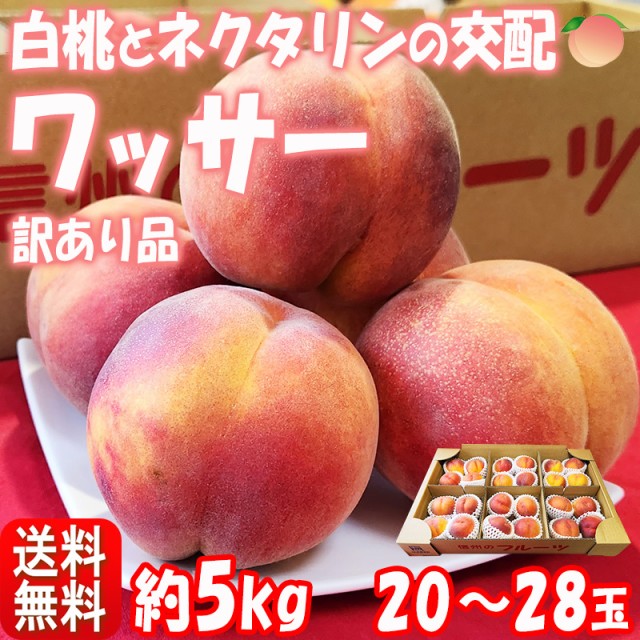 和歌山県 九度山産 種無し柿 家庭用 10kg 15~20発送予定