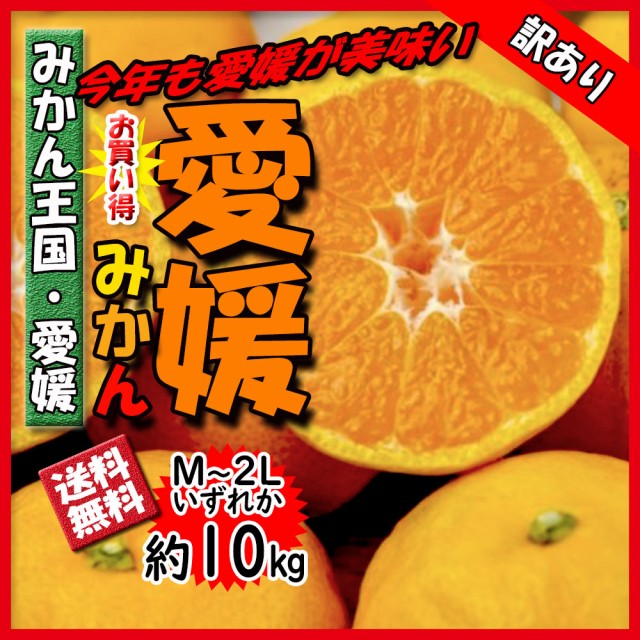 柿 かき 富有柿 ふゆかき 約2ｋｇ 愛媛県産 訳あり 送料無料の通販はau PAY マーケット - ベジろう｜商品ロットナンバー：595121058