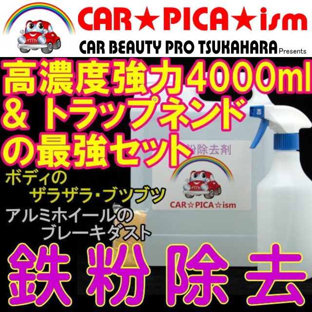 楽天1位】 ステイン スケールクリーナー 大容量500ml 酸性 ボディの ウロコ ウォータースポット シリカスケール を一発除去 超強力 