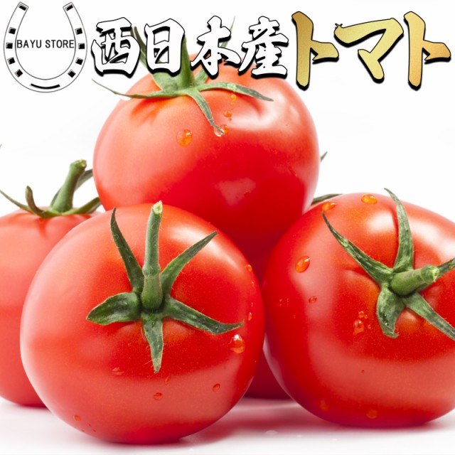西日本産 トマト 甘みぎっしり 4kg 訳あり とまと...