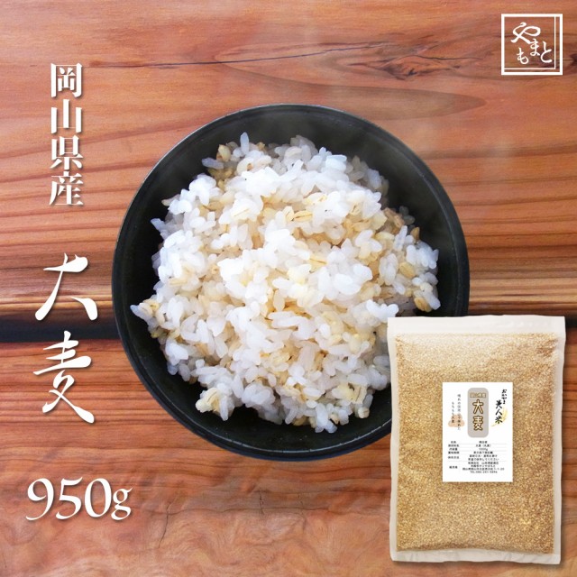 人気ブランド 日本精麦 かもめ印 自然食押麦 1kg ×1袋 qdtek.vn