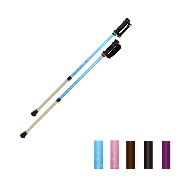 他サイト： 杖 ステッキ 2本組 ウォーキングポール 伸縮 女性 男性 リハビリ 介護予防 あんしん2本杖 2本1組 65019 シナノ 介の商品画像