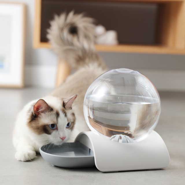 ペット 自動 給水器 ボール型 犬 猫 水飲み器 ウォーターボウル 自動供給 2 8ｌ 大容量 給水器 水量が見える 飛び散り防止 ゆっくり 水飲の通販はau Pay マーケット もも屋