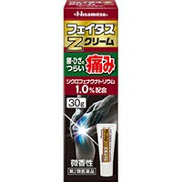 他サイト： 【フェイタスZクリーム 30g】【第2類医薬品】の商品画像