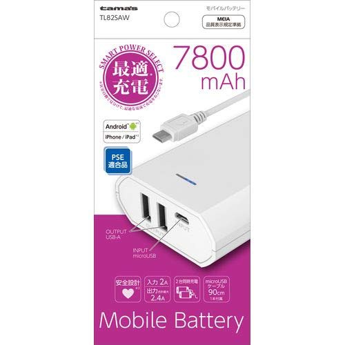 でんきのパラダイス電天堂