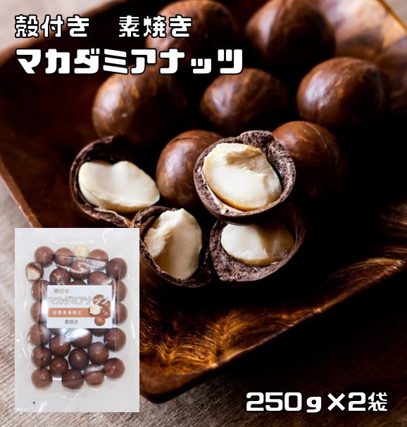 黒田屋 マカダミアナッツ 500g チャック袋 旨塩味 オーストラリア産