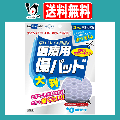他サイト： 医療用傷パッド 大判 3枚入【テイコクファルマケア】プラスモイストWQ すりキズ 火傷 やけど 保護の商品画像